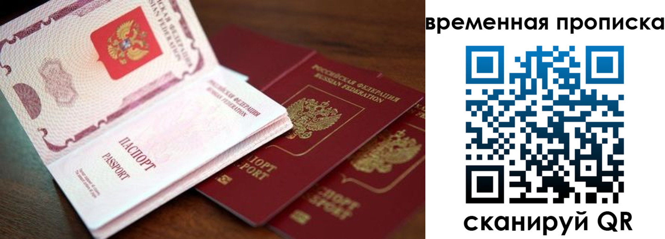 прописка гарантия в Кингисеппе